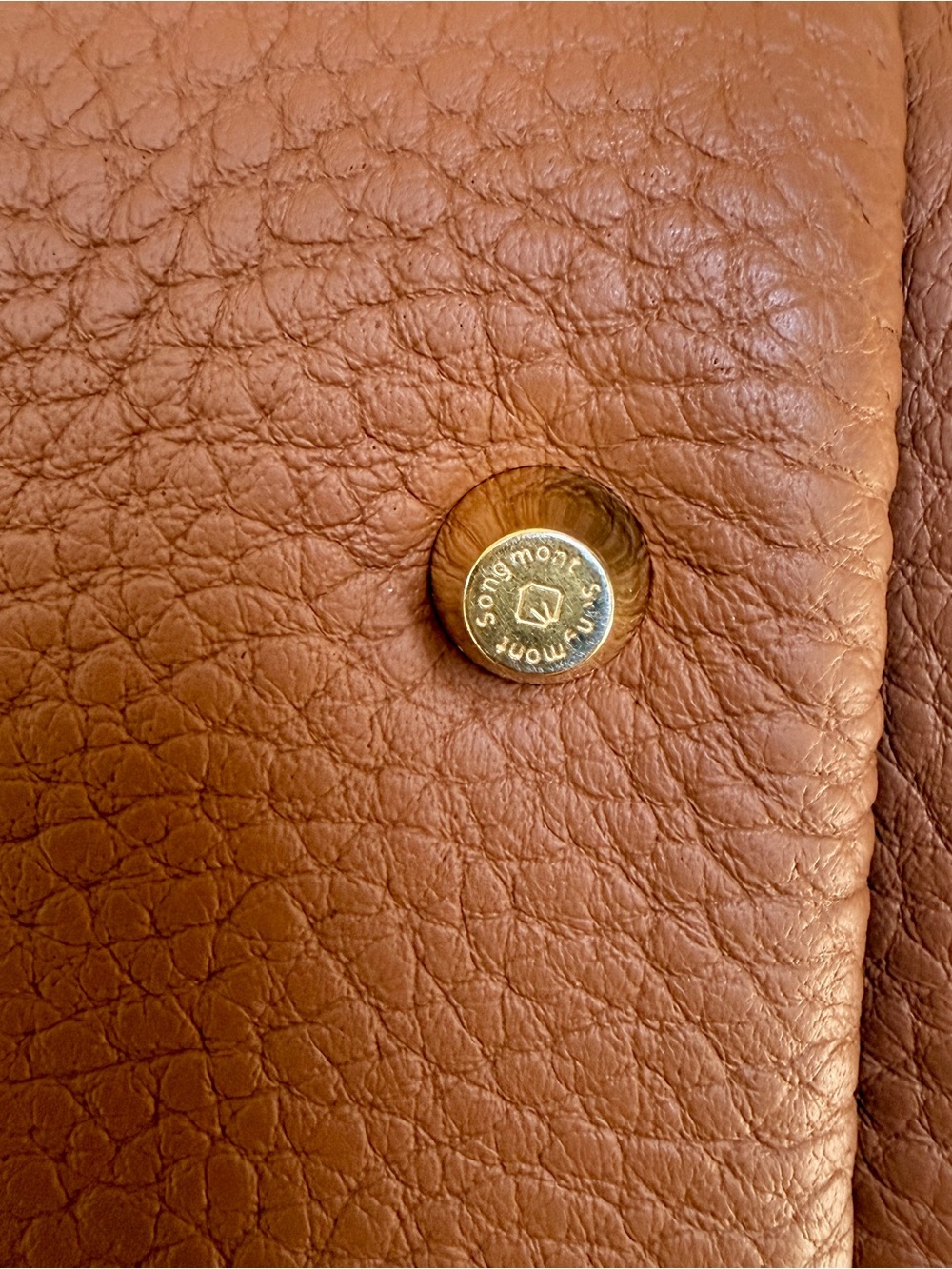 Songmont Medium Song Bag in Golden Brown + Wish Seeds Charm - Picture 8 of 9
